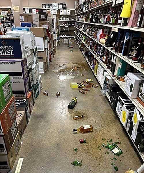 너구리 침입에 난장판이 된 주류 판매점