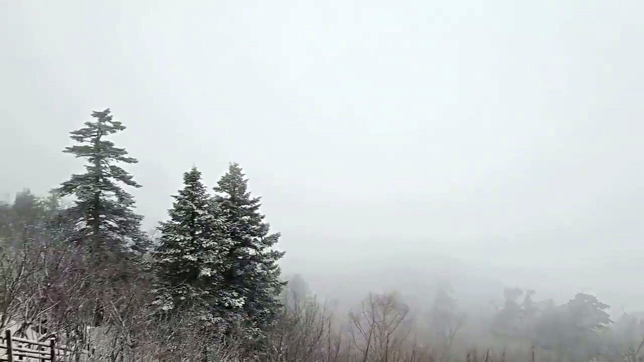 서울·경기 올겨울 첫 대설주의보 발령