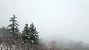 서울&middot;경기 올겨울 첫 대설주의보 발령