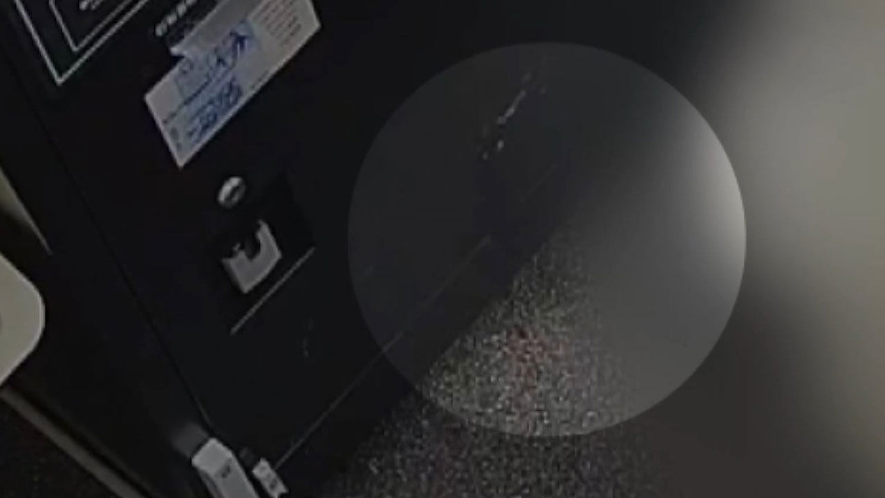 [자막뉴스] 분실 카드로 95만 원치 '인생샷' 찰칵…소변에 소화기 난사까지 '엽기 테러범'