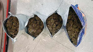 과자 봉지에 숨긴 대마초&hellip;태국서 밀반입 일당 덜미