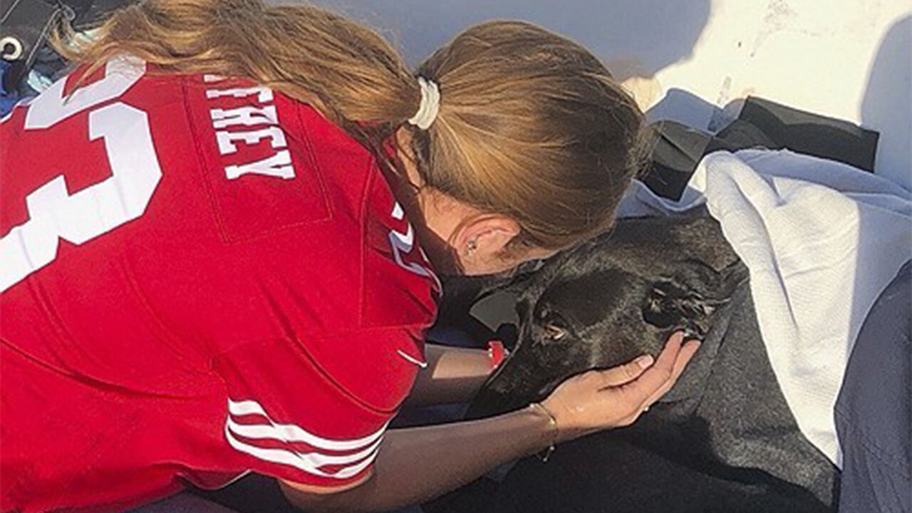 미 해안서 이안류 쓸려 들어간 반려견, 1시간 해상 수색 끝 구조