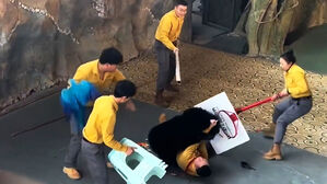 동물원 '아찔' 사고에 발칵&hellip;비난 폭주