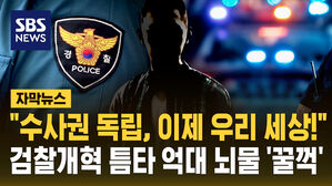 [자막뉴스] "수사권 독립, 이제 우리 세상!"&hellip;검찰개혁 틈타 억대 뇌물 '꿀꺽'