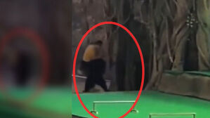 "냄새에 흥분" 공연 중 밀치고 '쾅'…영상 퍼지자 '논란'