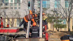 이삿짐 나르던 40대, 사다리차 바스켓과 함께 추락해 중상