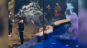 "담배 꺼달라" 무시하자&hellip;물속에서 튀어나와 '퉤'