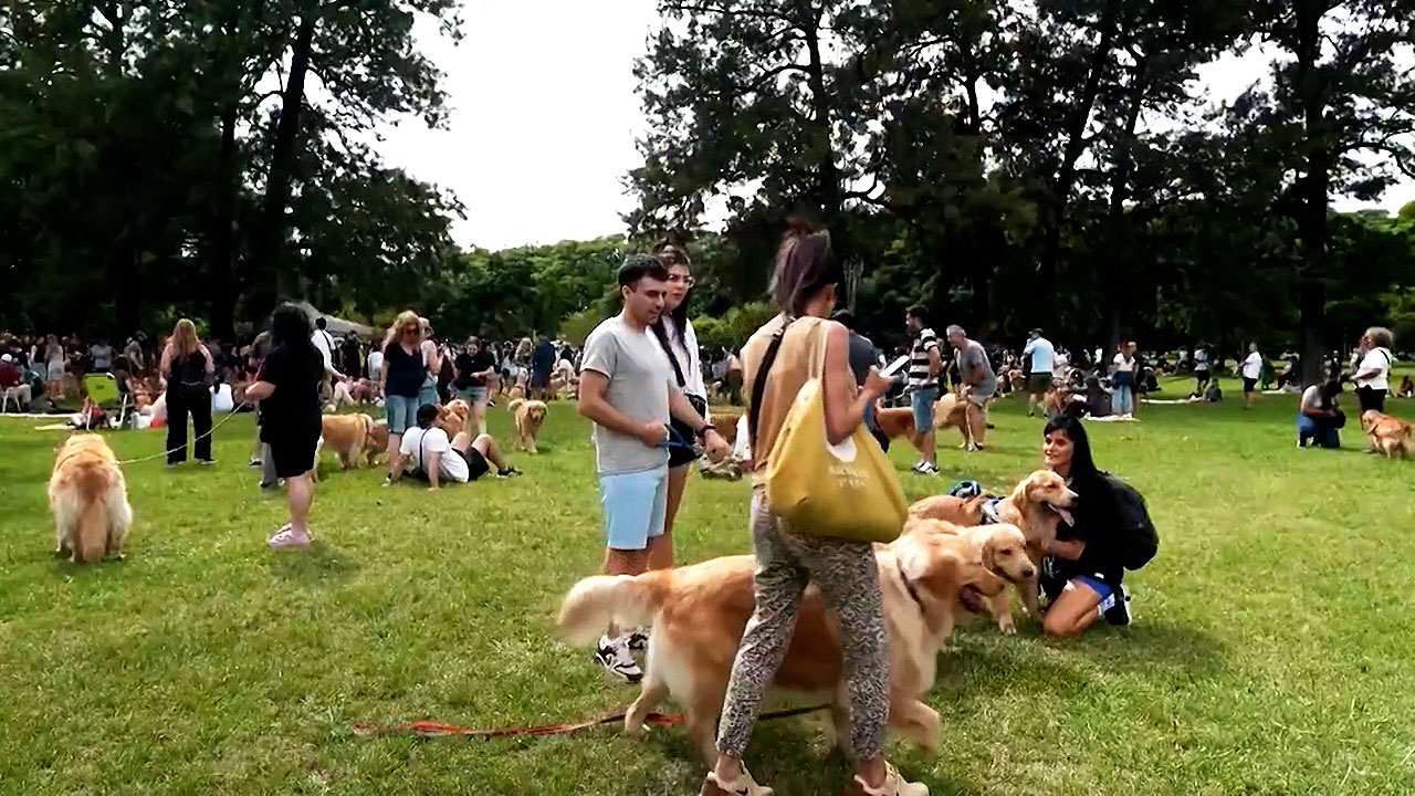 황금빛으로 물든 공원…