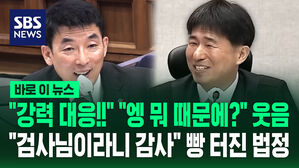 [바로이뉴스] "강력 대응!!" "엥 뭐 때문에?" 웃음…"검사님이라니 감사" 빵 터진 법정