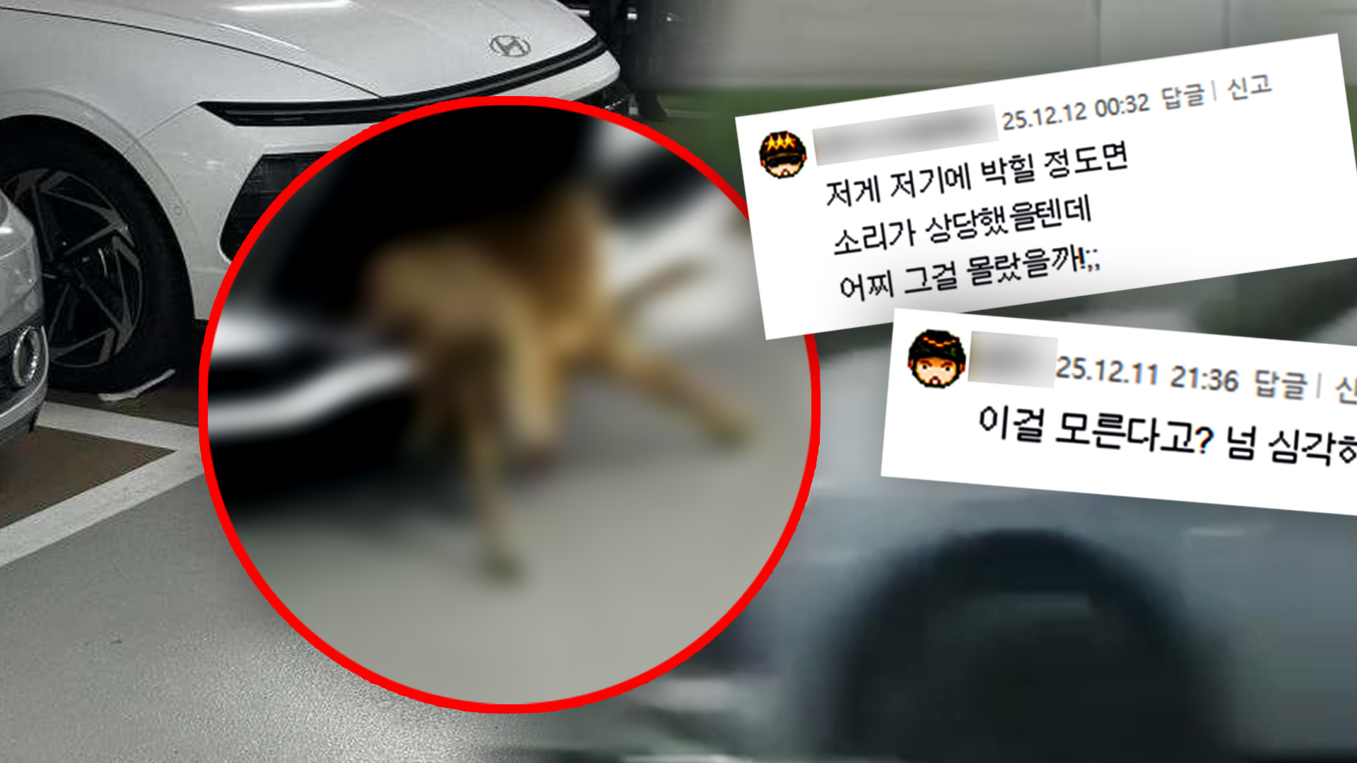 범퍼에 매단 채 그대로 '경악'…SNS 발칵 뒤집힌 이유 [자막뉴스]