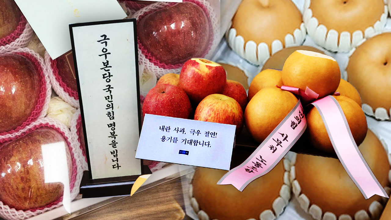 '사과' 보냈더니 '배'로 돌려줘?… 고 국민의힘  과일 배틀 전말