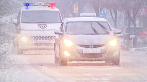 밤사이 최대 8cm 눈 예보…곳곳 대설 특보