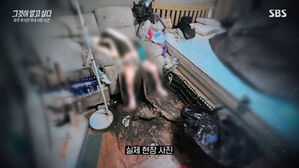 "병원 데려가 줘" 부탁했지만…온몸에 구더기 뒤덮인 채 결국