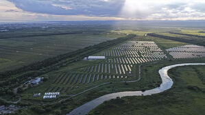 일, 대규모 태양광 발전시설 지원 폐지 추진…"경관 파괴 우려"