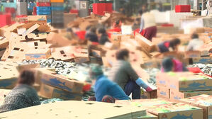 고등어, 아프리카 '수출 효자' 역할 톡톡…위판고 급증