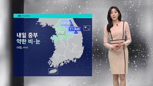 [날씨] '1mm 안팎' 약한 비&middot;눈&hellip;초미세먼지 농도 '나쁨'