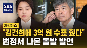 [자막뉴스] "김건희에 수표로 3억 원 줬다"&hellip;법정서 나온 돌발 발언
