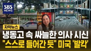 1216 자막뉴스 마이애미