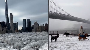 하얗게 덮인 도심&hellip;빙판길 지나다 '미끌'