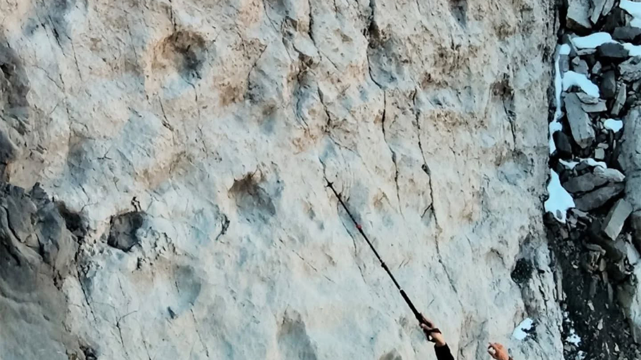 이탈리아 알프스서 2억 년 전 공룡 발자국 수만 개 발견