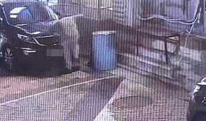 길고양이 안전고깔에 가두고 학대해 죽인 20대 집행유예