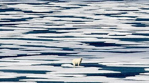 "북극 기온 관측 사상 최고&hellip;상승률 지구 평균의 두 배 넘어"
