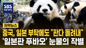 [자막뉴스] 중국, 일본 부탁에도 "판다 돌려내"&hellip;'일본판 푸바오' 눈물의 작별