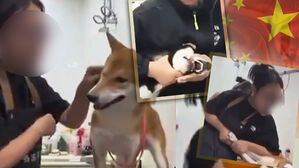 "너희 나라 항복했어" 목 조르며 구타&hellip;학대 영상 논란