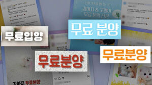 [사건X파일] 강아지 무료라더니&hellip;교묘하게 거액 요구