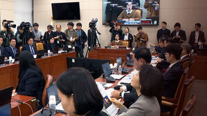 '불출석' 김범석 검찰 고발&hellip;위증한 'HL'도 검토