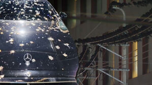 잠깐 주차했다 똥테러&hellip;"기겁했다" 매일밤 공포의 집합