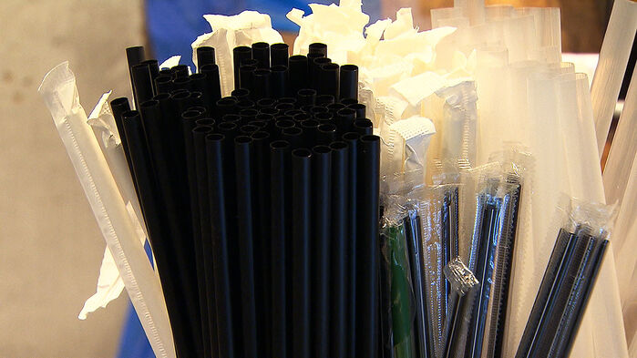 정부 빨대 규제