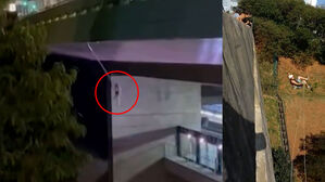 튕겨 올라와 '쾅'&hellip;다리서 뛰어내린 여성 끔찍 비명