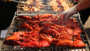 영국서 바닷가재 산 채로 삶으면 불법&hellip;스위스&middot;노르웨이도 금지