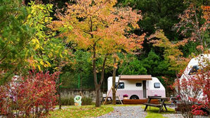 '청량산 수원캠핑장' 시범운영 이용률 94%&hellip;내년 4월 개장