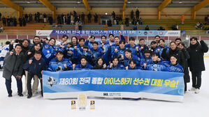 HL 안양, 아이스하키 종합선수권 6연패