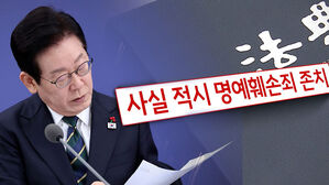 '사실적시 명예훼손' 존치&hellip;형법과 함께 없앤다?