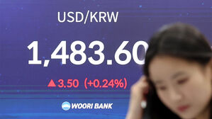 외환당국 "원화 약세 바람직 않아&hellip;정부 능력 곧 보게 될 것"