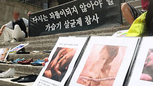 14년 만에 '사회적 참사' 인정&hellip;국가 주도 배상