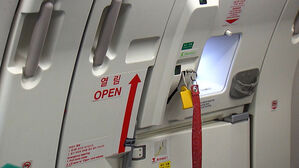 "안 돼요" 승무원 화들짝&hellip;장난쳤다가 징역 위기