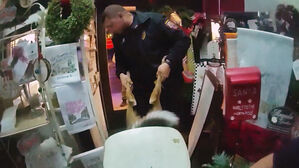 한밤중 썰매 찾으러 왔나&hellip;가게 침입한 범인 정체