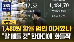 [자막뉴스] 1,480원 환율 범인 이거였나&hellip;"칼 빼들 것" 정부 한마디에 '화들짝'