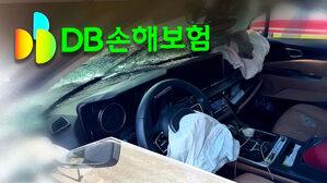 구급차 치여 숨졌는데 "보험금 안 돼"&hellip;취재 시작되자 돌연