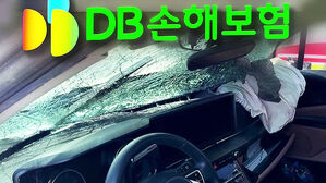 사고로 가족 잃었는데&hellip;"보험금 지급 안 돼"
