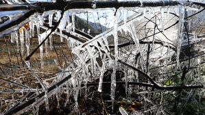 올겨울 들어 가장 추운 강원&hellip;향로봉 체감 기온 영하 35.3도