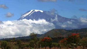 아프리카 최고봉 킬리만자로서 헬기 추락 5명 사망