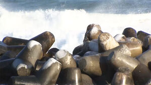 "70년 살면서 처음"&hellip;영하 35.9도에 펼쳐진 광경