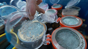 최강 한파에 '꽁꽁'&hellip;밤새 서울 수도계량기 31건 동파