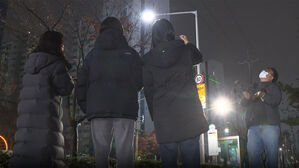 한 달 동안 민원 '200건'&hellip;"사람도 안 피한다" 부산 발칵