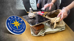 "정부 지시로 조사했다" 논란 가열&hellip;"셀프 면죄부" 질타